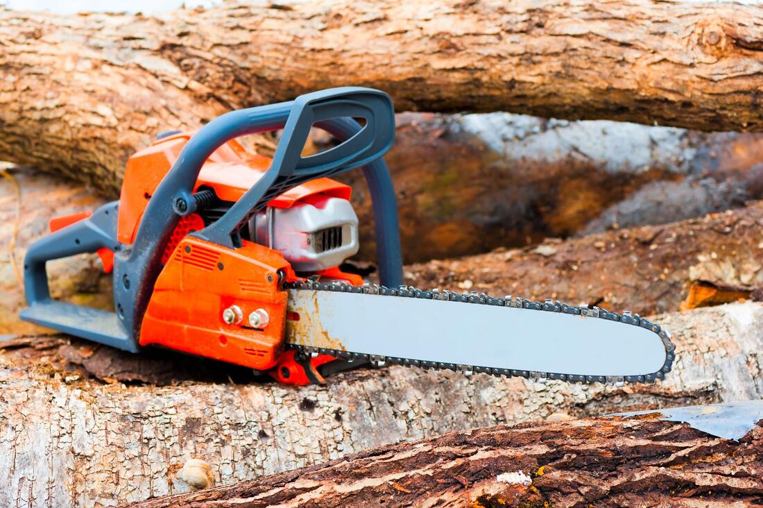 a chainsaw on the tree stump